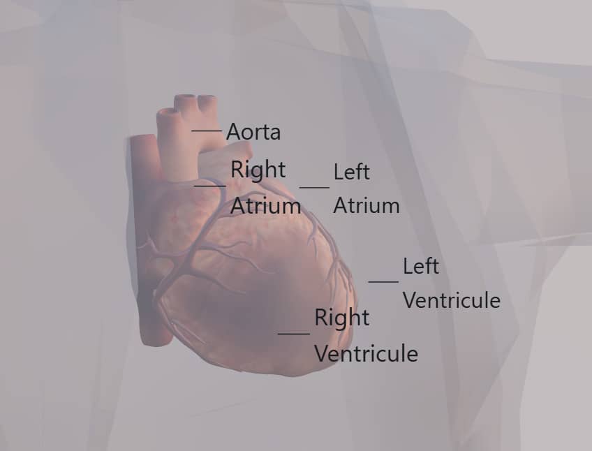 Pathologie Cellulaire Moderne